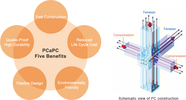 PCaPC Five Benefits/Schematic view of PC construction